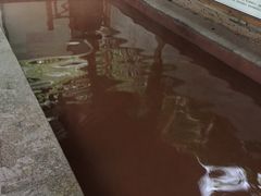 -黄山温泉国际旅游度假区