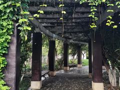 -沙河三洞古桥公园