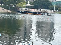 -新江湾城公园
