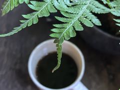 -老屋咖啡