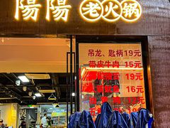 -阳阳老火锅(小南门店)