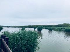 -西青郊野公园