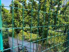 -树山生态村