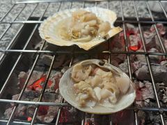 -震海贝烤贝·民俗特色店(延吉总店)