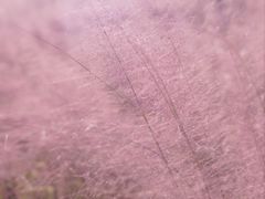 -昆嵛山石门里景区