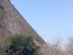 -南京城墙景区
