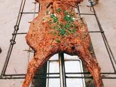 -三岔湖高家庄农家乐烤全羊柴火鸡翘壳鱼(三岔湖店)