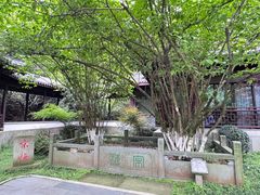 -十八棵（老龙井）御茶园(老龙井店)