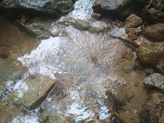 -火炉山森林公园