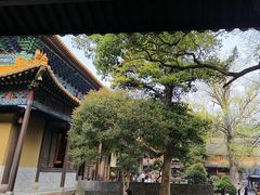 -普陀山风景名胜区-法雨禅寺