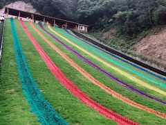 -梦幻奥陶纪景区