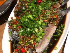 -老号尤兔头(幸福店)