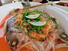 -酝· 大师滇菜(公园1903店)