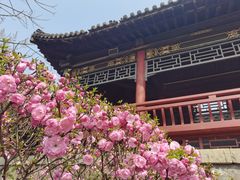 -碑林公园
