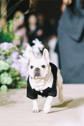 -凯宾斯基饭店·宴会厅