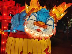 -北京石景山游乐园