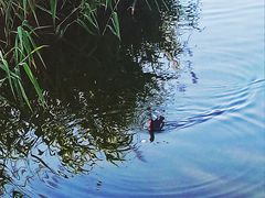 -前关湿地公园