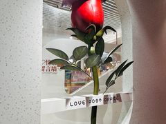 -爱情邮局