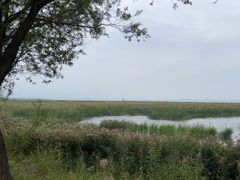 -野鸭湖国家湿地公园