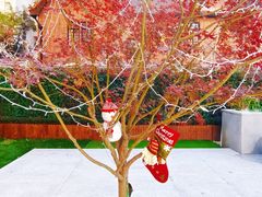 -一尺花园(安和花园店)