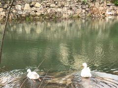 -黄陂区野村谷景区