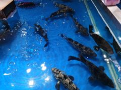 -盒马鲜生(悦峰店)