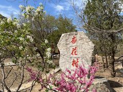 -北京凤凰岭