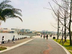 -白鹭湾湿地公园