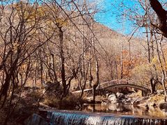 -玉渡山自然风景区