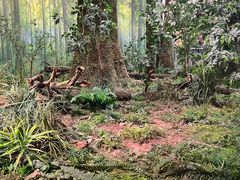 -同里国家湿地公园