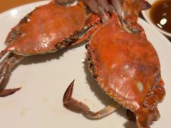 -视界美食自助餐厅·石家庄希尔顿酒店