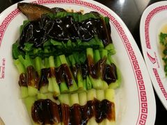 -中国城银都鱼翅酒楼