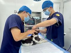 -康爱犬猫诊所·牙专科·骨外科·影像内科(丰宁店)