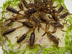 -鱼市酒店(威海水产批发市场店)