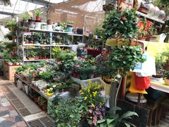 -秦美花卉(天朗·莱茵小城2期店)