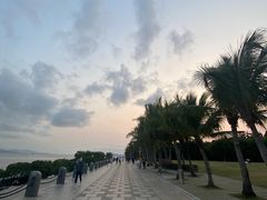 -深圳湾公园(南山区)
