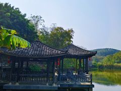 -老木棉·匠园