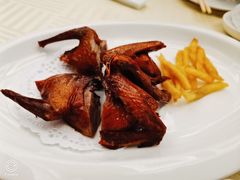 脆皮乳鸽-潮福城大酒楼(北尚店)