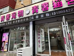 -青奢宠物·青奢猫舍