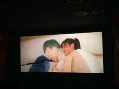 -龙之星国际影城(太平店)