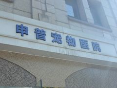 -申普宠物医院·眼科·心内科·影像科(普陀分院)