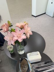 -JNK皮肤管理中心