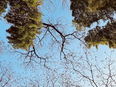 -杭州半山国家森林公园