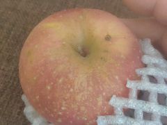 陕西延川苹果-全家便利店(秀沿路二店)