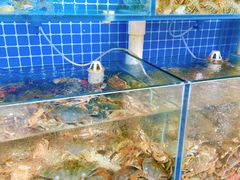 -名超海鲜烧烤大排档