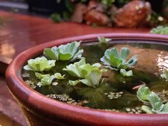 -肴约·花园式餐厅(湖里店)