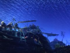 游乐设施-上海迪士尼度假区