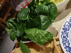 菠菜spinach-东镇老火锅(长春路首店)
