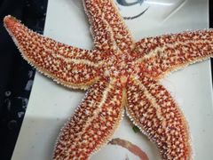 -大锅强·蒸海鲜青岛菜(吾悦广场店)