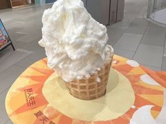 -野人先生现做冰淇淋(北京环宇荟店)